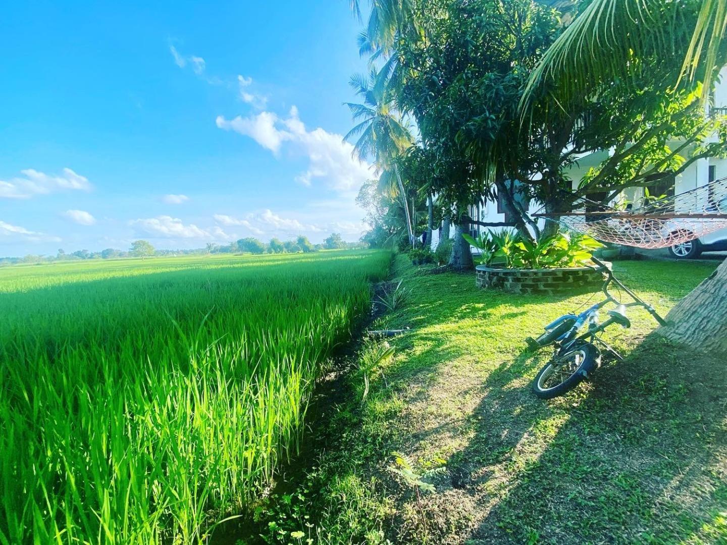 Aroma Villa Homestay Polonnaruwa Exterior photo